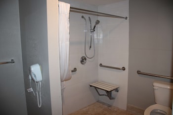 Standard Room, 1 King Bed, Accessible, Refrigerator & Microwave