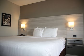 Standard Room, 1 King Bed, Accessible, Refrigerator & Microwave