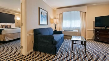 Executive Room, 1 King Bed, Non Smoking, Refrigerator & Microwave (with Single Sofabed)