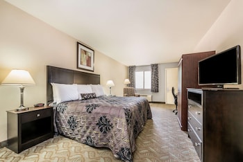 Standard Room, 1 King Bed