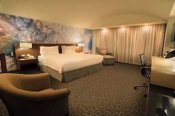 Room, 1 King Bed