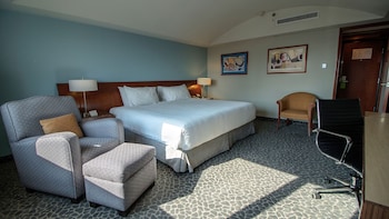 Room, 1 King Bed