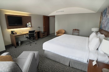 Room, 1 King Bed