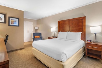 Standard Room, 1 King Bed with Sofa bed, Non Smoking