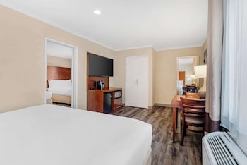 Deluxe Suite, Multiple Beds, Non Smoking