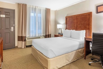 Standard Room, 1 Queen Bed, Accessible, Roll-In Shower, Courtyard View