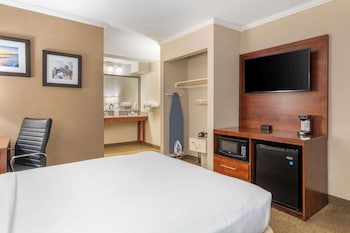 Standard Room, 1 Queen Bed, Accessible, Roll-In Shower, Courtyard View