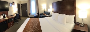 Standard Room, 1 King Bed with Sofa bed, Non Smoking
