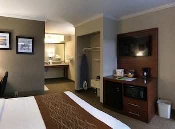 Standard Room, 1 Queen Bed, Accessible, Roll-In Shower, Courtyard View