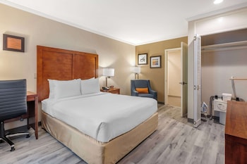 Standard Room, 1 Queen Bed, Accessible Tub, Non Smoking