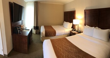 Deluxe Suite, Multiple Beds, Non Smoking