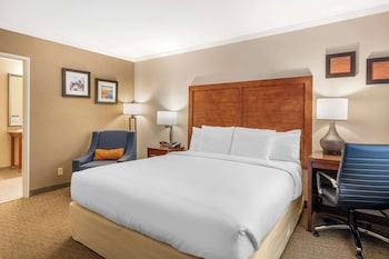 Standard Room, 1 King Bed, Accessible, Non Smoking