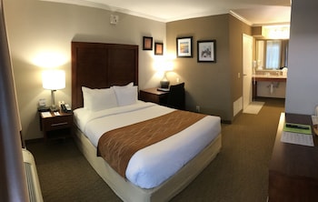 Standard Room, 1 Queen Bed, Accessible, Roll-In Shower, Courtyard View