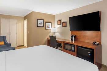 Suite, 1 King Bed, Non Smoking