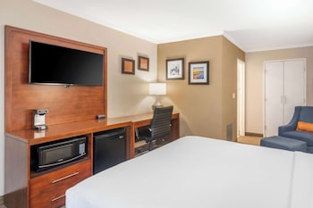 Standard Room, 1 King Bed with Sofa bed, Non Smoking