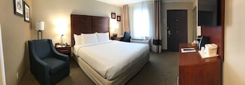 Standard Room, 1 King Bed, Accessible, Non Smoking