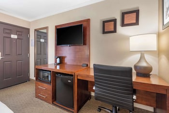 Standard Room, 1 King Bed with Sofa bed, Non Smoking