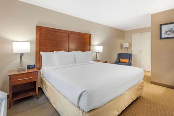 Suite, 1 King Bed, Non Smoking