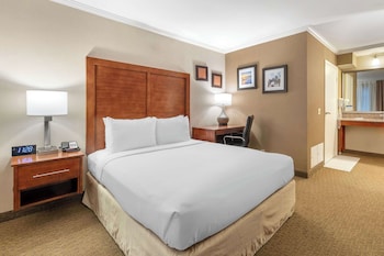 Standard Room, 1 Queen Bed, Accessible, Roll-In Shower, Courtyard View