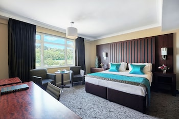 Deluxe Double or Twin Room, Park View