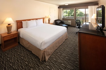 Premium Room, 1 King Bed
