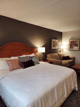 Premier Room, 1 King Bed with Sofa bed