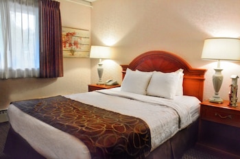 Room (Extended Stay-Queen and Murphy Bed)
