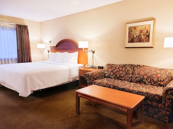 Premier Room, 1 King Bed with Sofa bed