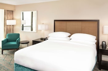 Room, 1 King Bed, Accessible (Roll-In Shower)