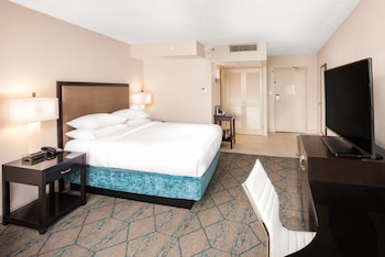 Room, 1 King Bed, Accessible (Roll-In Shower)