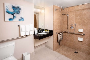 Room, 1 King Bed, Accessible (Roll-In Shower)