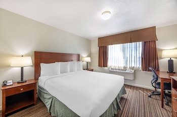 Suite, 1 King Bed, Non Smoking, Refrigerator & Microwave