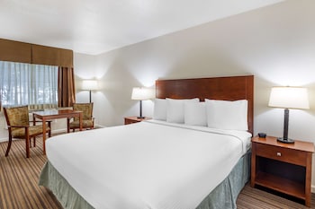 Standard Room, 1 King Bed, Non Smoking, Refrigerator & Microwave