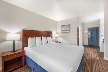 Standard Room, 1 King Bed, Non Smoking, Refrigerator & Microwave