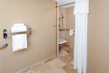 Suite, 2 Bedrooms, Accessible, Non Smoking