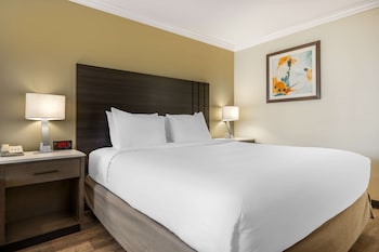 Business Room, 1 King Bed, Non Smoking, Microwave