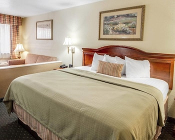 Suite, 1 King Bed with Sofa bed, Non Smoking