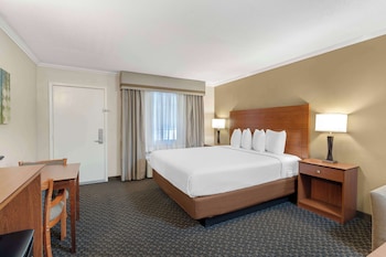 Standard Room, 1 King Bed, Non Smoking, Kitchenette