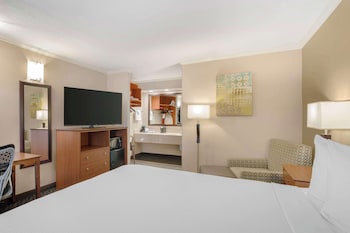 Business Room, 1 King Bed, Non Smoking, Refrigerator & Microwave