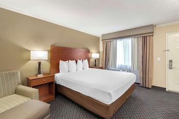 Business Room, 1 King Bed, Non Smoking, Refrigerator & Microwave