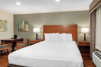 Standard Room, 1 King Bed, Non Smoking, Refrigerator & Microwave