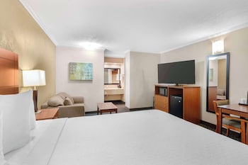Standard Room, 1 King Bed, Non Smoking, Kitchenette
