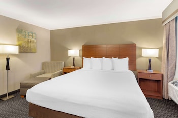 Business Room, 1 King Bed, Non Smoking, Refrigerator & Microwave