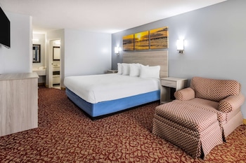 Room, 1 King Bed, Non Smoking