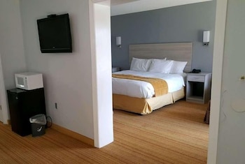 Suite, 1 King Bed, Non Smoking (One-Bedroom Suite)