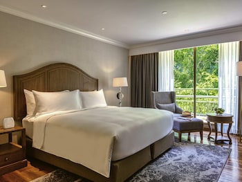 Wellness Suite, 1 King Bed, Club Access