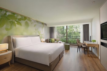 Deluxe Room, 1 Double Bed