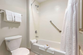 Standard Room, 2 Queen Beds, Non Smoking, Refrigerator & Microwave