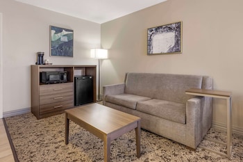 Standard Room, 1 King Bed, Accessible, Refrigerator & Microwave