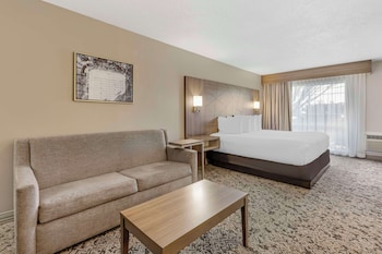 Standard Room, 1 King Bed, Accessible, Refrigerator & Microwave